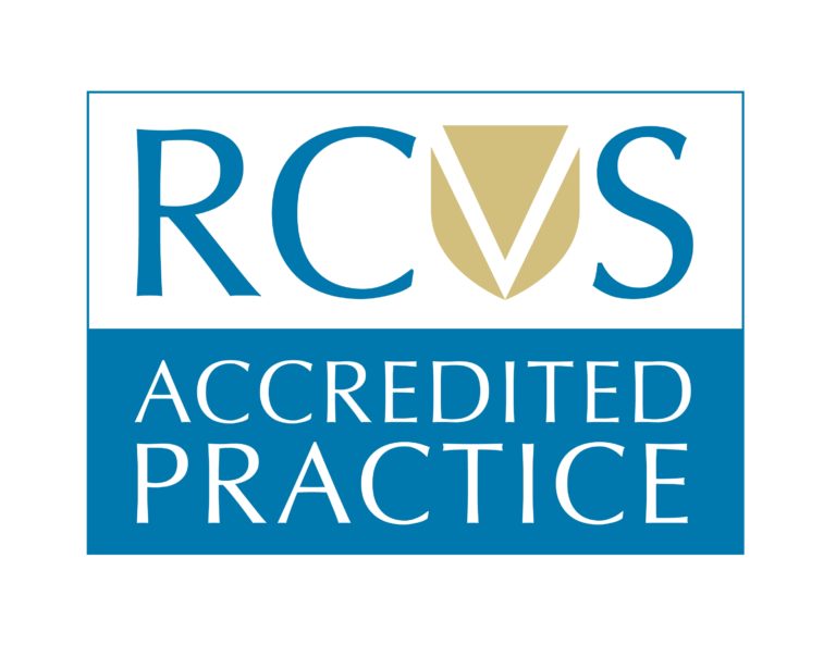 Image We are now RCVS Accredited