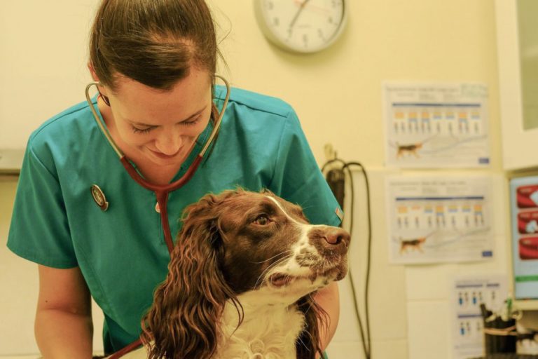 Image Veterinary Nursing Awareness Month 2022