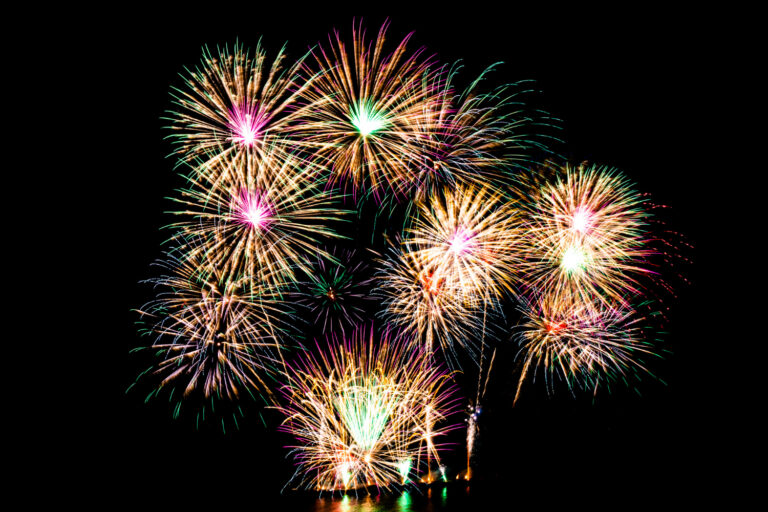 Image How to prepare your pet for fireworks