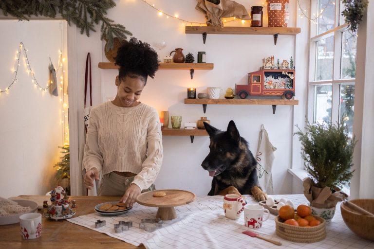 Image Christmas foods that are dangerous for pets