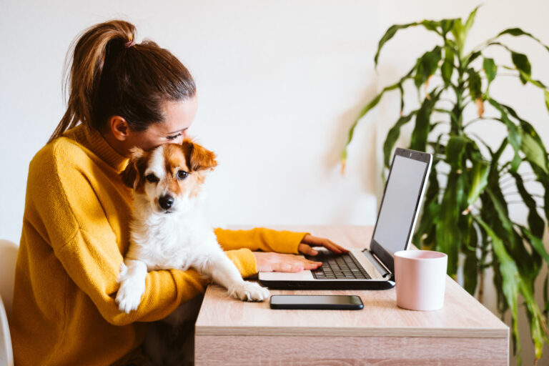 Image Do I need pet insurance? Everything you need to know
