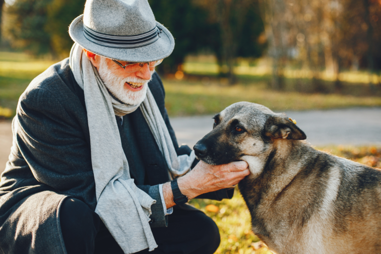 Image How to keep your pet active and healthy at every life stage
