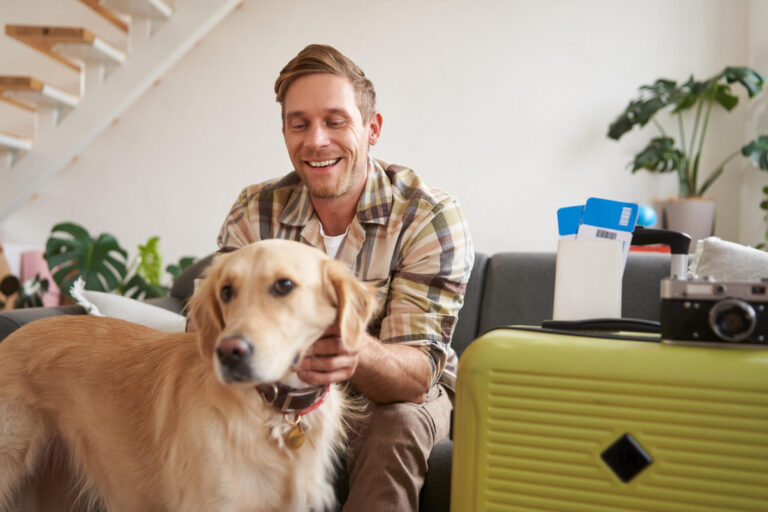 Image EU pet travel changes 2026: New rules for owners in Great Britain